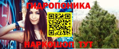 apvp Лесосибирск