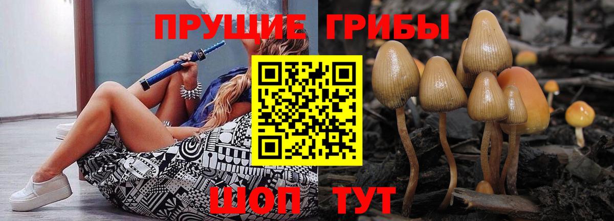 Красногорск  Псилоцибиновые грибы Magic Shrooms  Псилоцибиновые грибы Magic Shrooms  Вход с VPN 